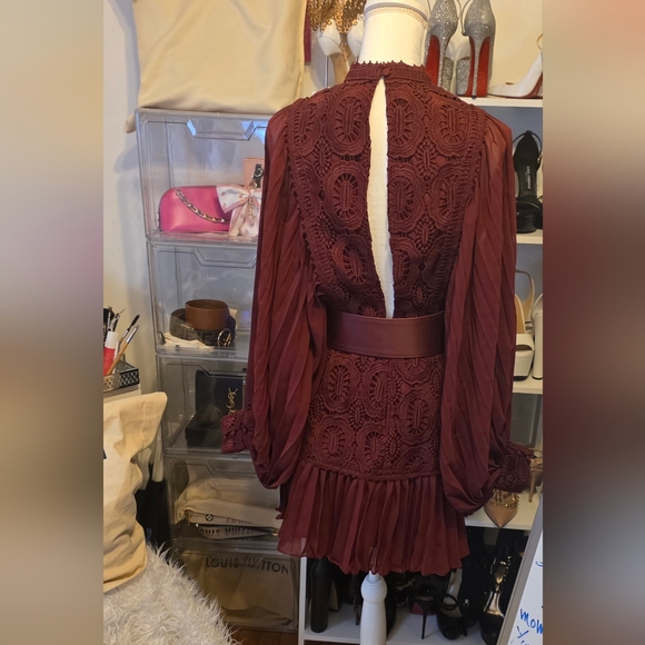 Wine Burgundy Lace & Pleated Long-Sleeve Mini Dress - Picture 5 of 6